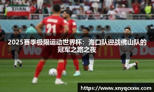 2025赛季极限运动世界杯：海口队迎战佛山队的冠军之路之夜